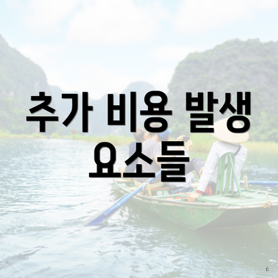 추가 비용 발생 요소들