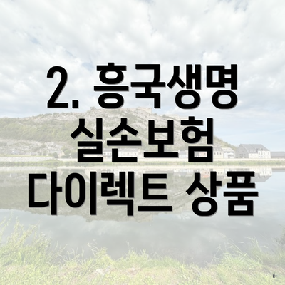 2. 흥국생명 실손보험 다이렉트 상품