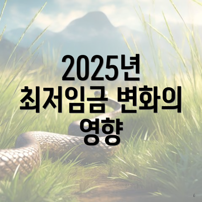 2025년 최저임금 변화의 영향