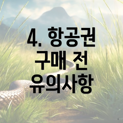 4. 항공권 구매 전 유의사항