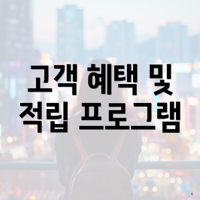 고객 혜택 및 적립 프로그램