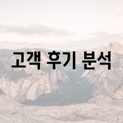 고객 후기 분석