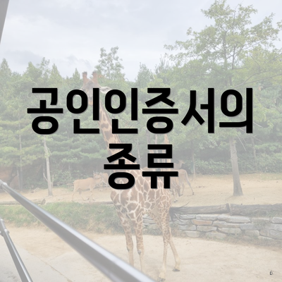 공인인증서의 종류