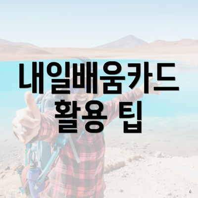 내일배움카드 활용 팁