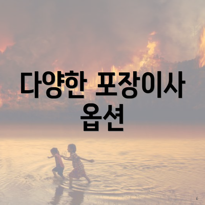 다양한 포장이사 옵션
