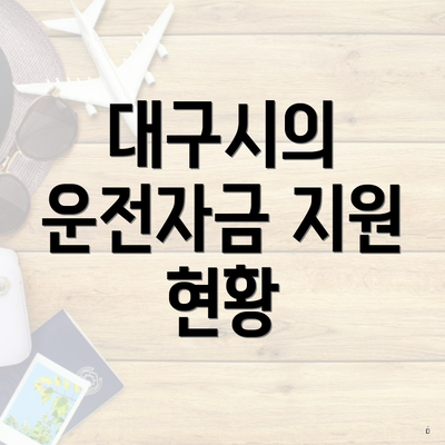 대구시의 운전자금 지원 현황