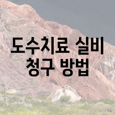 도수치료 실비 청구 방법