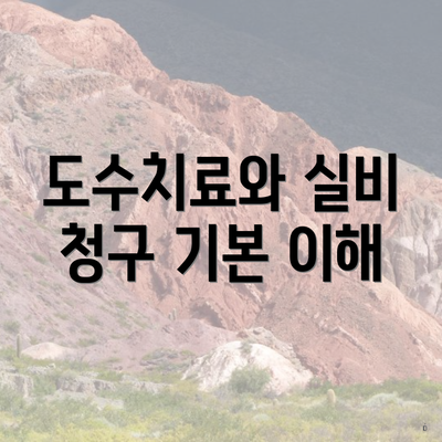 도수치료와 실비 청구 기본 이해