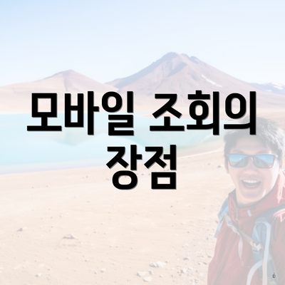 모바일 조회의 장점