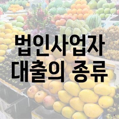법인사업자 대출의 종류