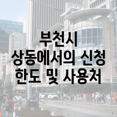 부천시 상동에서의 신청 한도 및 사용처