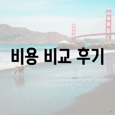 비용 비교 후기