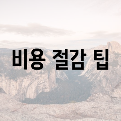 비용 절감 팁
