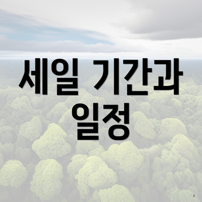 세일 기간과 일정