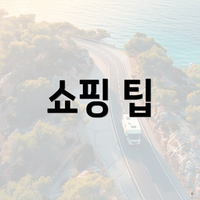 쇼핑 팁