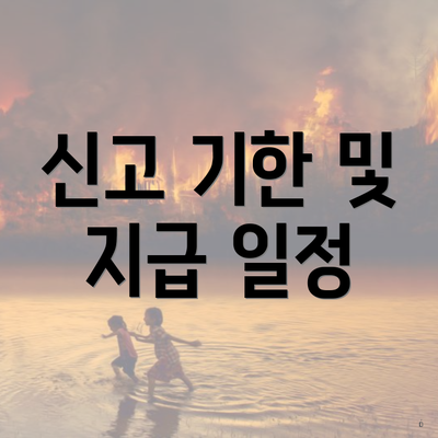 신고 기한 및 지급 일정