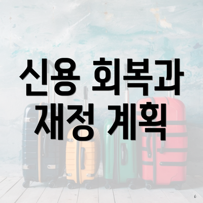 신용 회복과 재정 계획