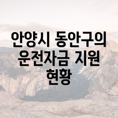 안양시 동안구의 운전자금 지원 현황