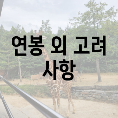 연봉 외 고려 사항
