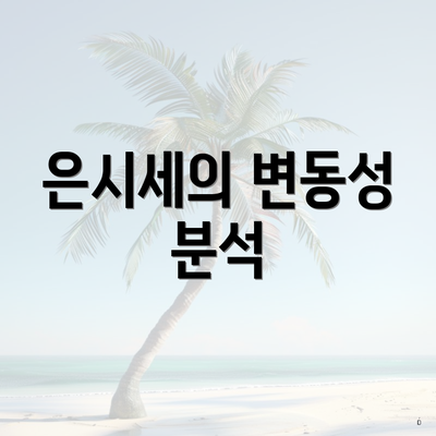 은시세의 변동성 분석