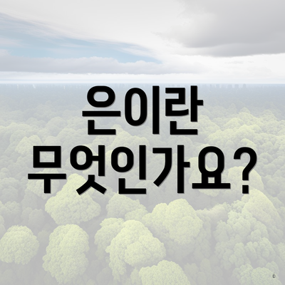 은이란 무엇인가요?
