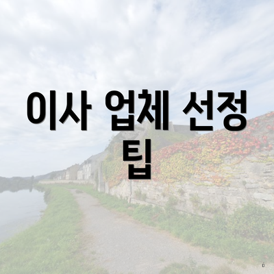 이사 업체 선정 팁