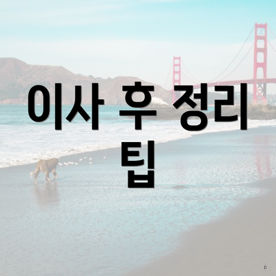 이사 후 정리 팁