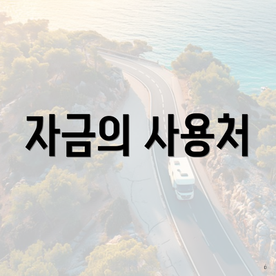 자금의 사용처