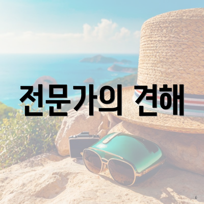 전문가의 견해