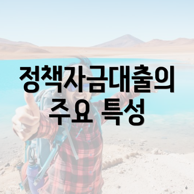정책자금대출의 주요 특성