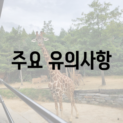 주요 유의사항
