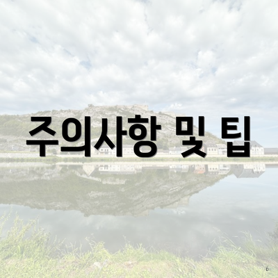 주의사항 및 팁