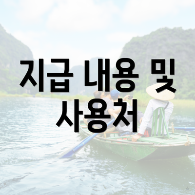 지급 내용 및 사용처