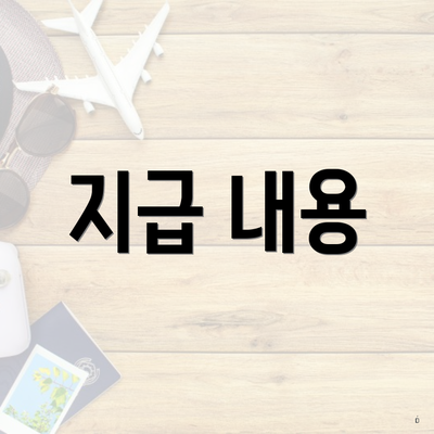 지급 내용
