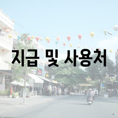 지급 및 사용처
