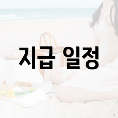 지급 일정