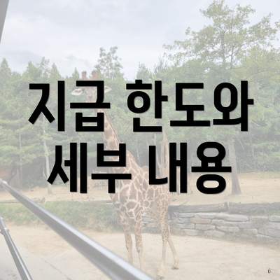 지급 한도와 세부 내용