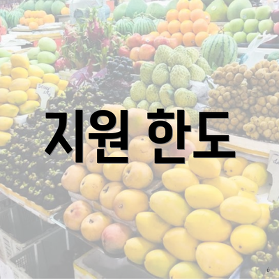 지원 한도