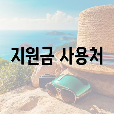 지원금 사용처