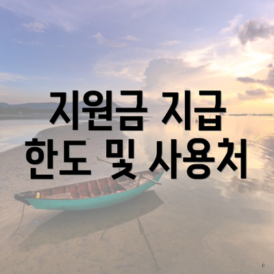 지원금 지급 한도 및 사용처