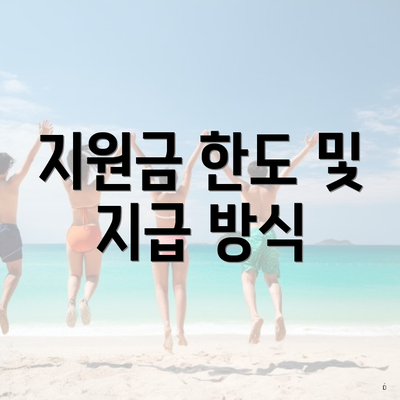 지원금 한도 및 지급 방식