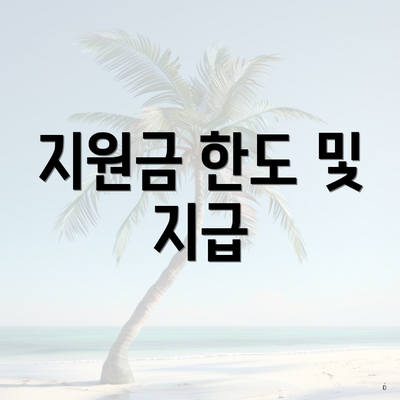 지원금 한도 및 지급