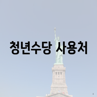 청년수당 사용처