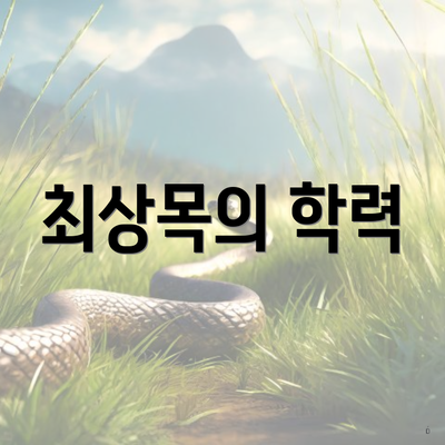 최상목의 학력