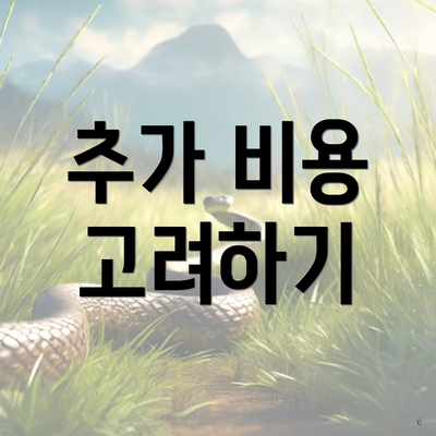 추가 비용 고려하기