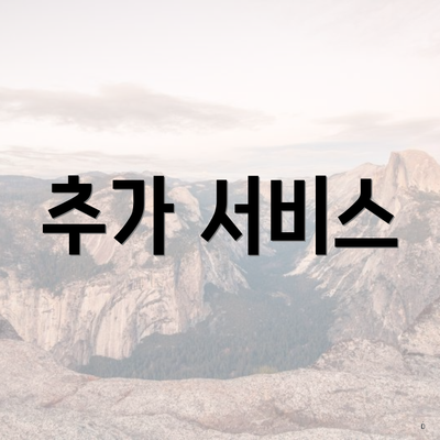 추가 서비스