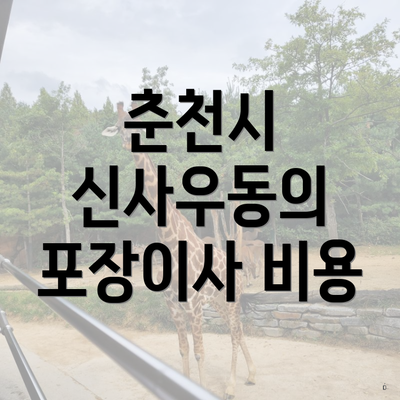 춘천시 신사우동의 포장이사 비용
