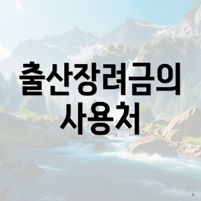 출산장려금의 사용처