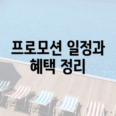 프로모션 일정과 혜택 정리