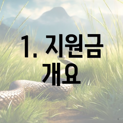 1. 지원금 개요